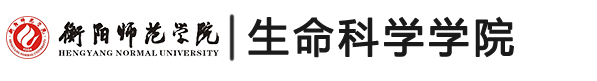 YABO鸭脖官网